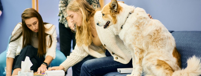 Dog sitting on a couch alongside three coworkers